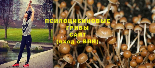 не бодяженный Красноперекопск