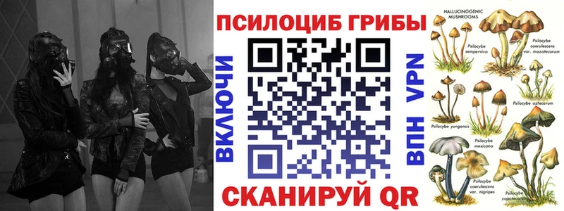 Купить закладки  Сыктывкар  Псилоцибиновые грибы Cubensis 