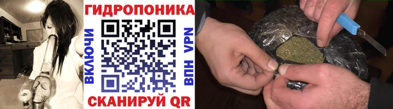 Купить где  Сыктывкар  Бошки марихуана Amnesia 